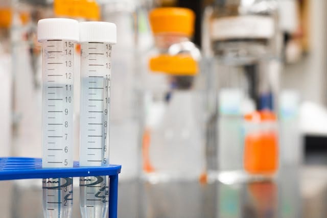What do High Polymorphs in Blood mean? How is it treated?