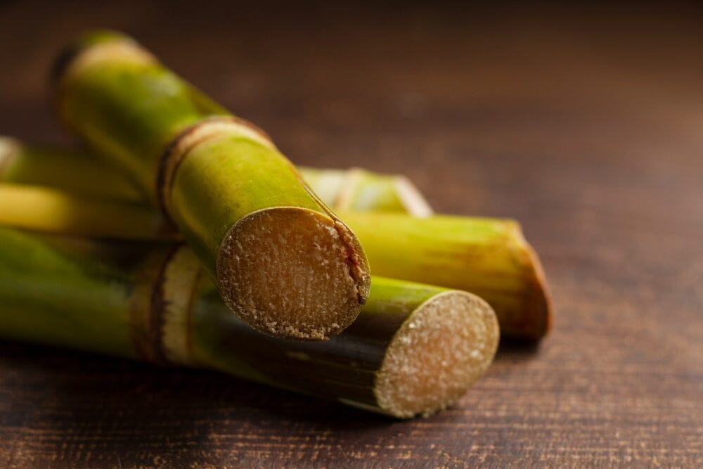 What are the Top Sugarcane Juice Benefits for Diabetes Managementt