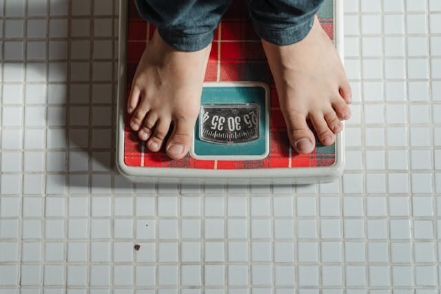 Foods for Fat Burning
