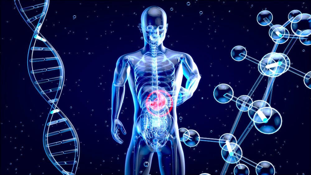 How to improve gut health: 10 Simple Habits | 10 Simple Habits to Improve Gut Health Naturally