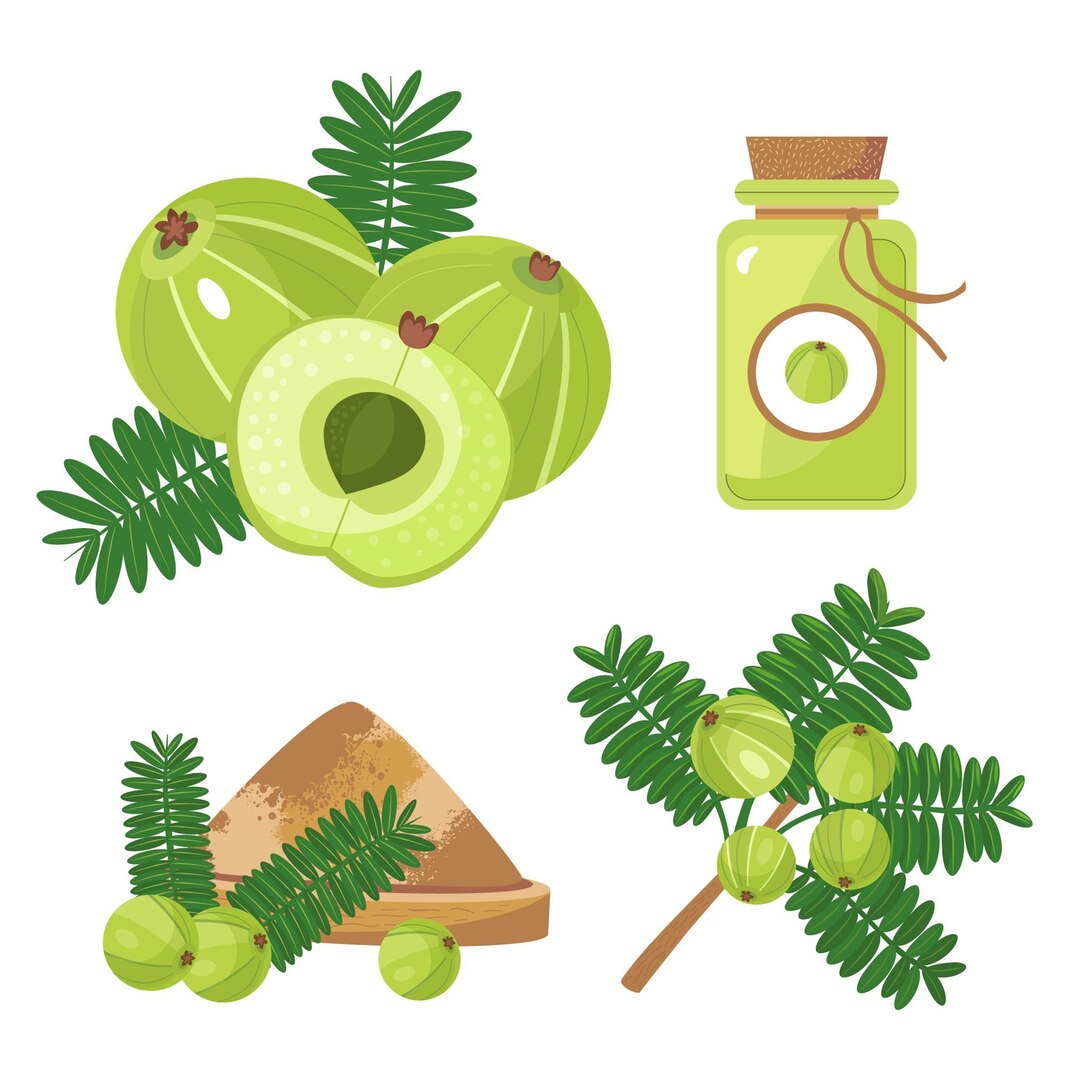 Top Reasons to Start Drinking Amla Juice Daily for Your Health