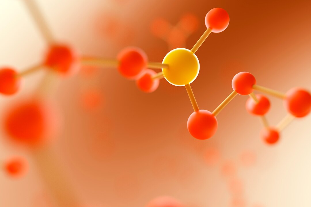 Understanding Myoglobin