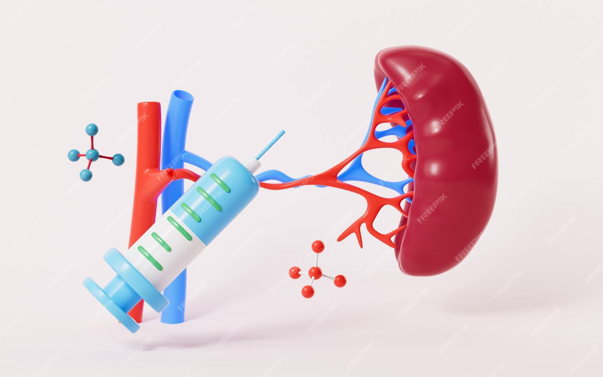 What is Indirect Bilirubin? Blood Test, Normal Values & Health Implications