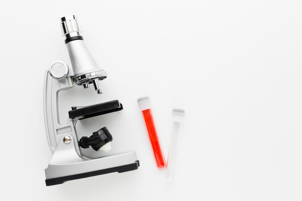 Exploring the Different Types of Stool Tests: A Comprehensive Guide