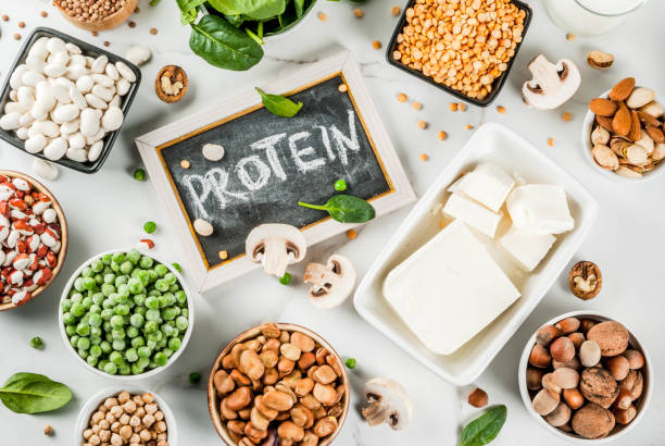 Ultimate Guide to High-Protein Foods | Top Protein Rich Foods: 15 Delicious Options for Every Diet