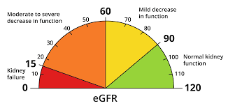Normal GFR by Age: eGFR Ranges, Calculation, and Kidney Health Insights