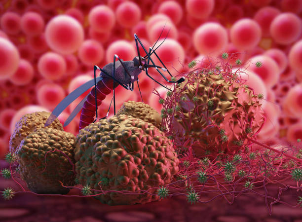 Dengue Fever Diet: Best Foods to Increase Platelets