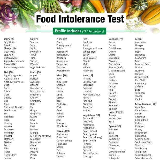 MyDiagnostics Premium Food Intolerance Blood Test Profile (IgG test based) in Lucknow