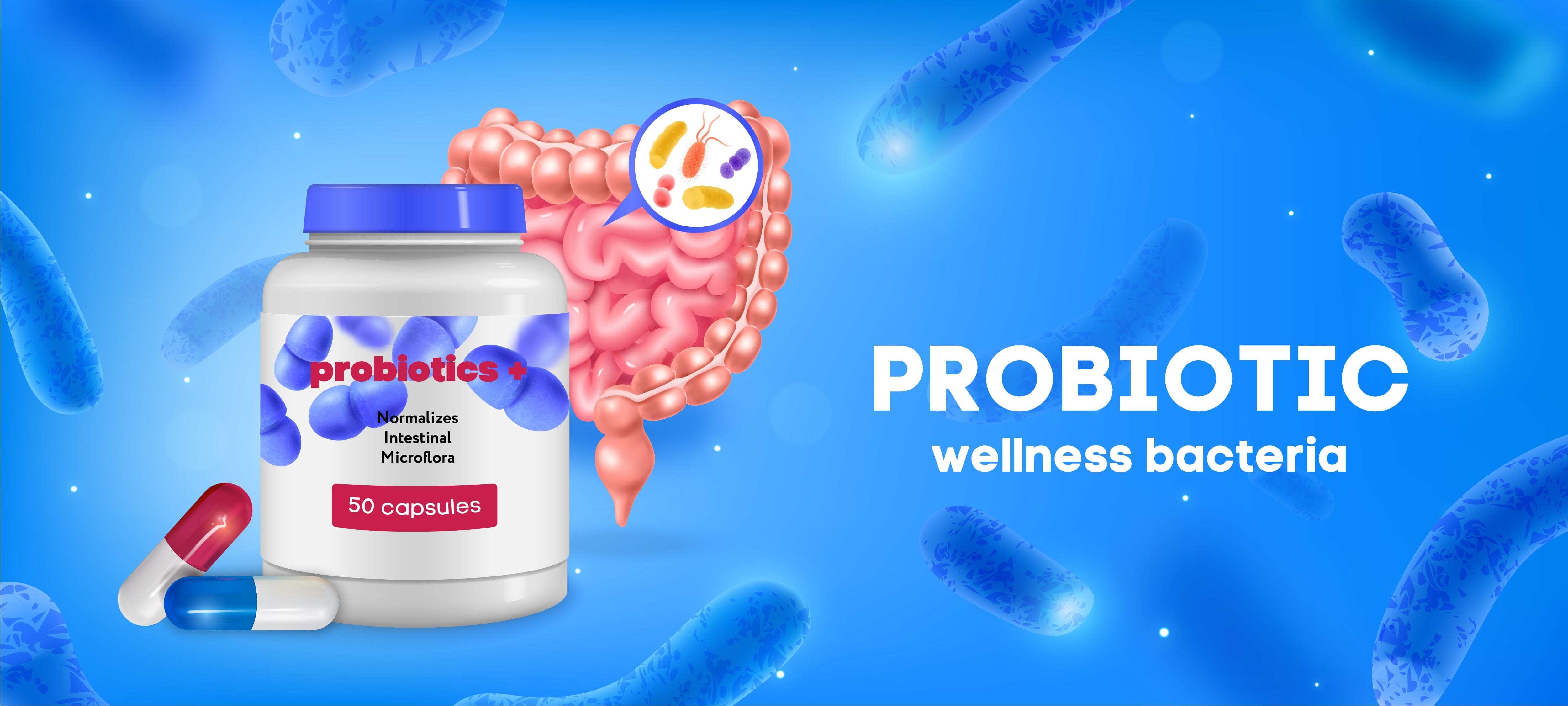 5 Best Probiotic for Gut Health: What You Need to Know