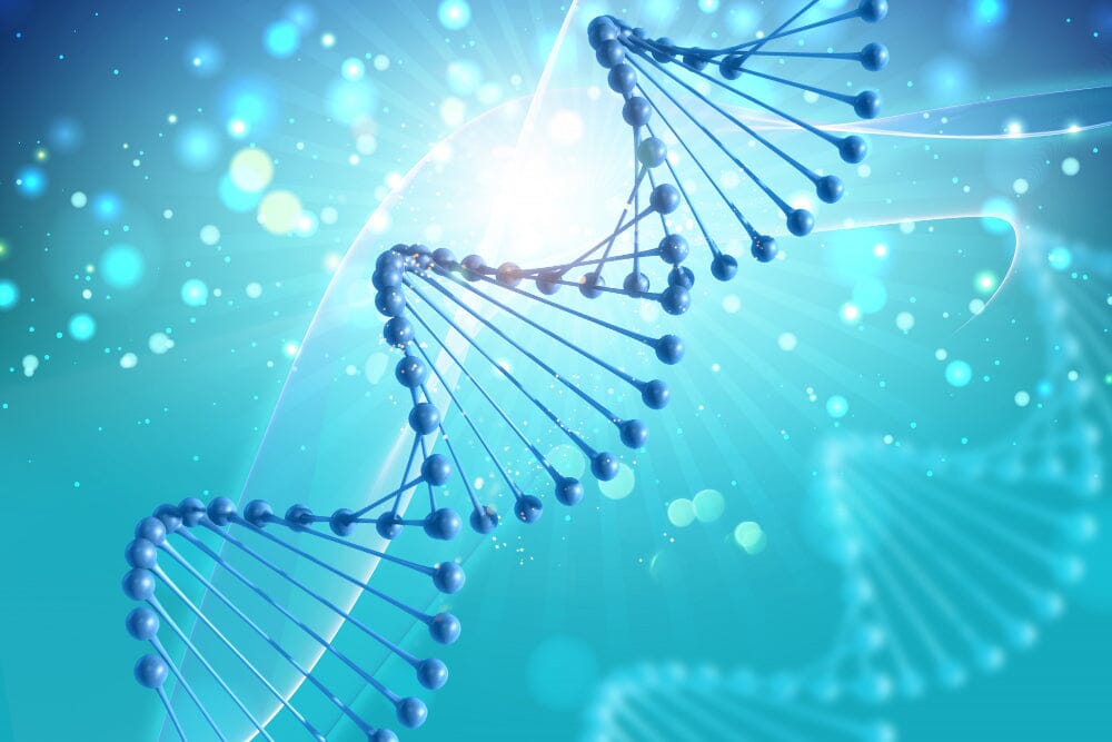 The Role Of Genetics In Fitness And Endurance