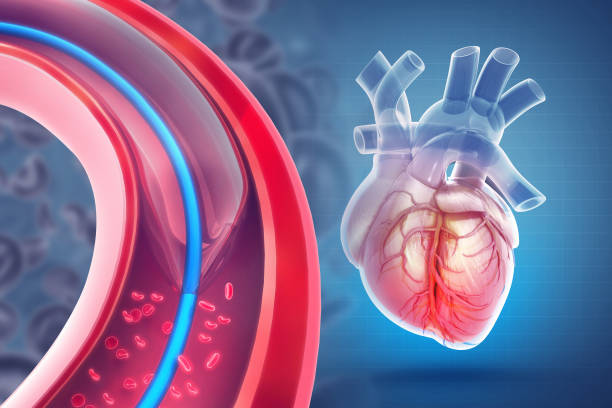 Echo test vs ECG | What is the difference between ECG and ECHO tests?