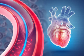 Echo test vs ECG | What is the difference between ECG and ECHO tests?