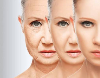 How to Reverse Ageing: A Science-Backed Guide to Slowing and Reducing Biological Age