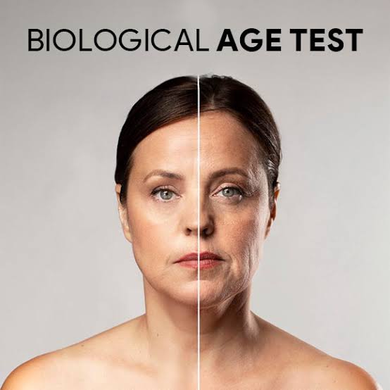 The Biological Organ Age Test: Calculate Your Heart, Brain, and Metabolic Age