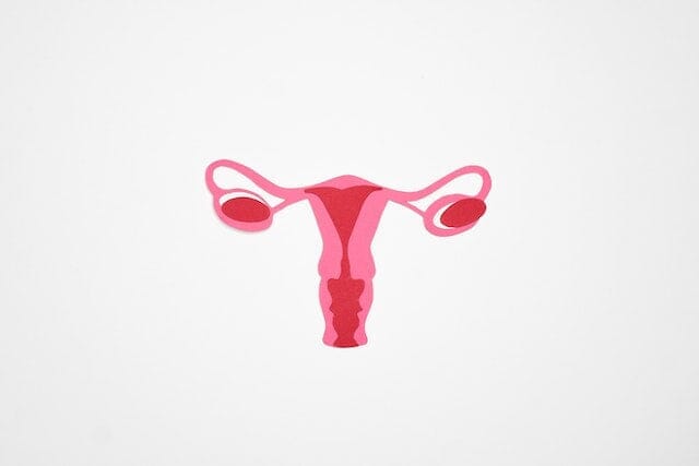 Understanding what size of Ovarian Cyst is Dangerous in Women