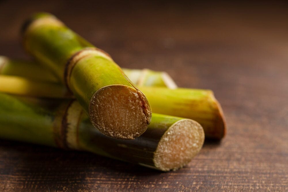 What are the Top Sugarcane Juice Benefits for Diabetes Management