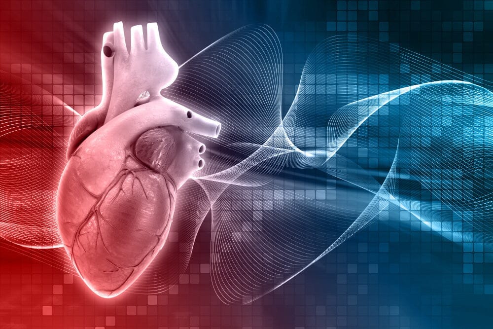 Heart Attack: Understanding the Symptoms and Risk Factors – MyDiagnostics
