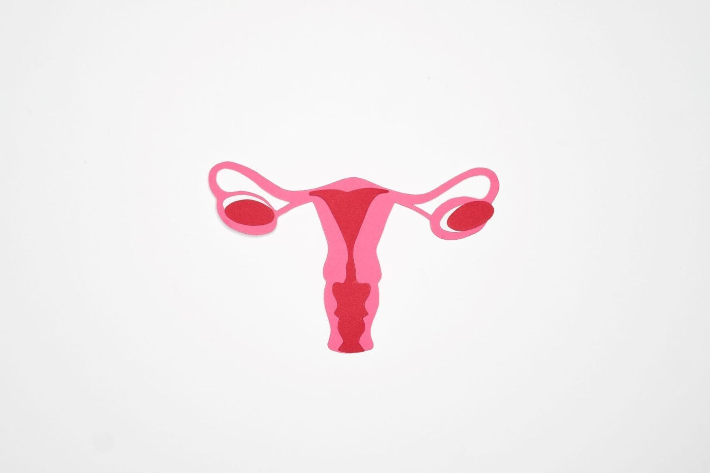 Understanding the 4 phases of menstrual cycle