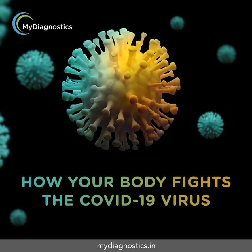 How your body fights  the COVID -19 virus how can we test it ?