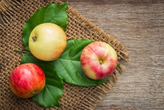 What Foods are Right for Me? How many Calories in an Apple?