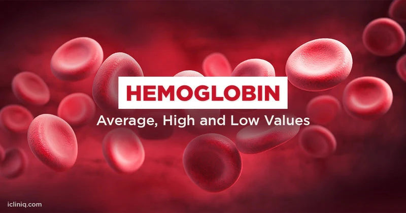 Normal Hemoglobin Levels: Key Ranges and Symptoms – MyDiagnostics