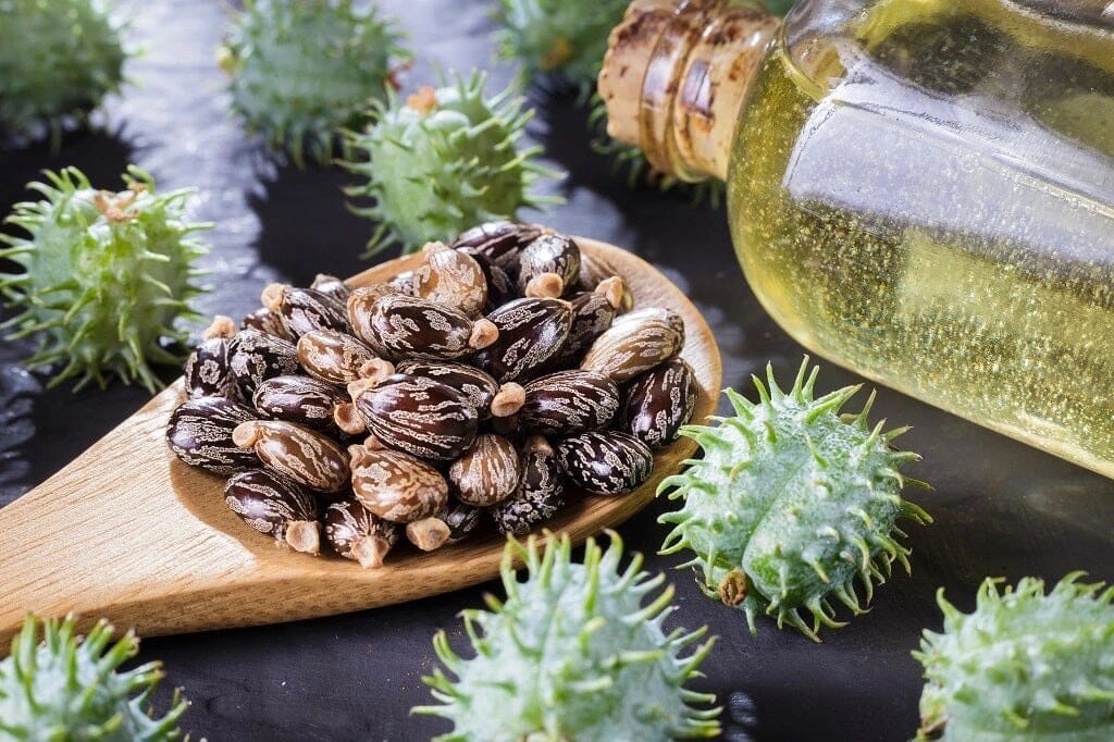 Top Hair Management Tips - Castor Oil for Hair Growth