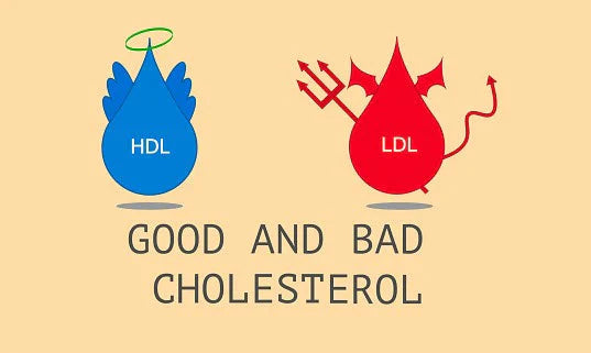 Things You Should Know About LDL: The "Bad" Cholesterol
