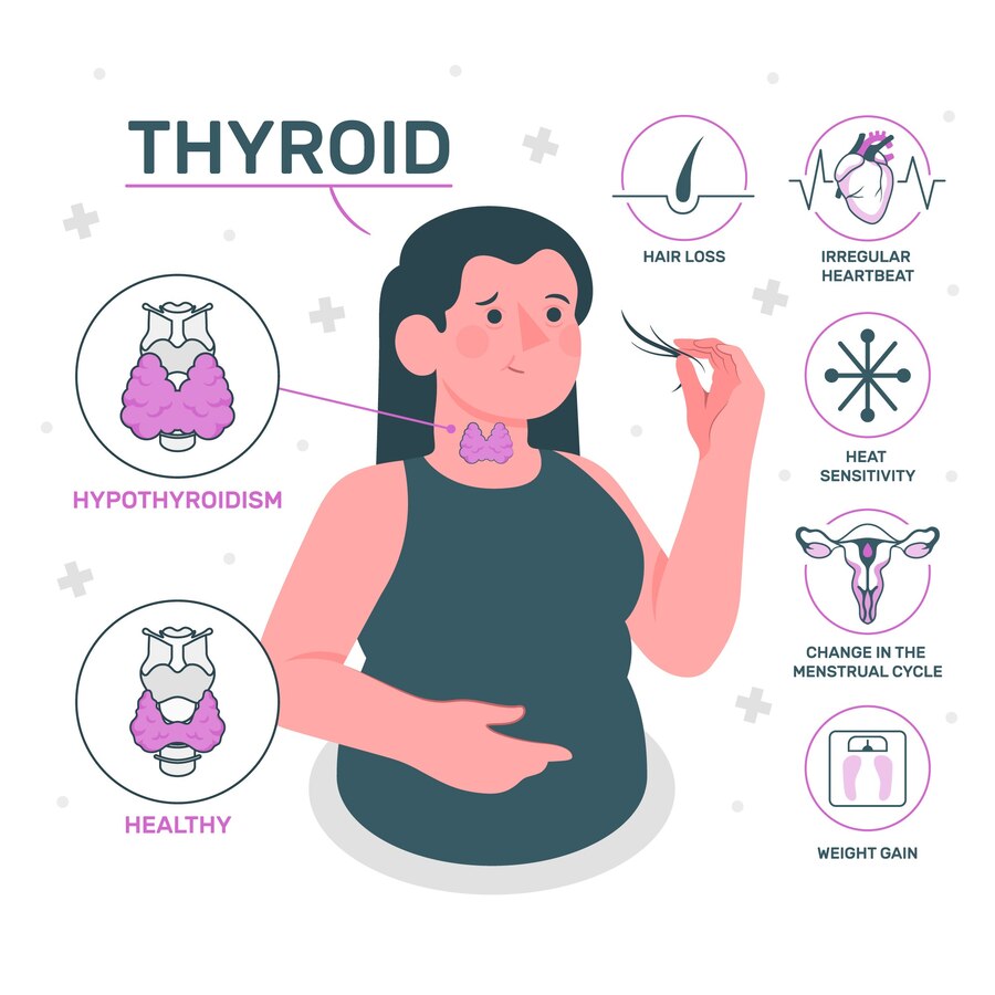 TSH Test Explained: Normal Ranges, Thyroid Function, and What Your Results Mean