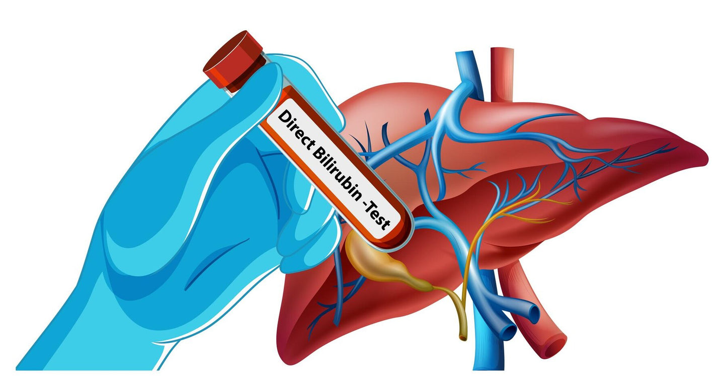 Total Bilirubin Levels: What’s Normal, What’s Not &amp; What It Means
