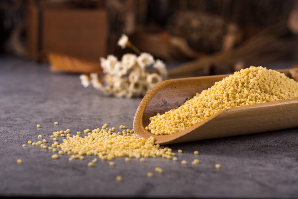 Foxtail Millets: Benefits, Uses, and Side Effects 
