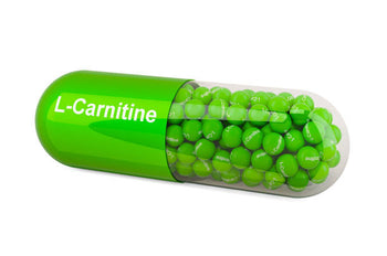 L-Carnitine for Fat Loss | L-Carnitine for Weight loss