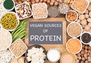 Top 15 Protein Rich Food Veg for a Balanced Vegetarian Diet