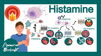 Histamine Intolerance – Symptoms, Tests, and Treatments