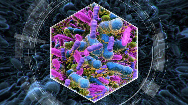 Gut Microbiome Testing in India