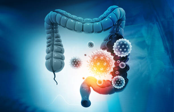 Understanding the Types of Gut Microbiome Tests
