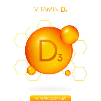 Vitamin D3 Foods for Vegetarians in India