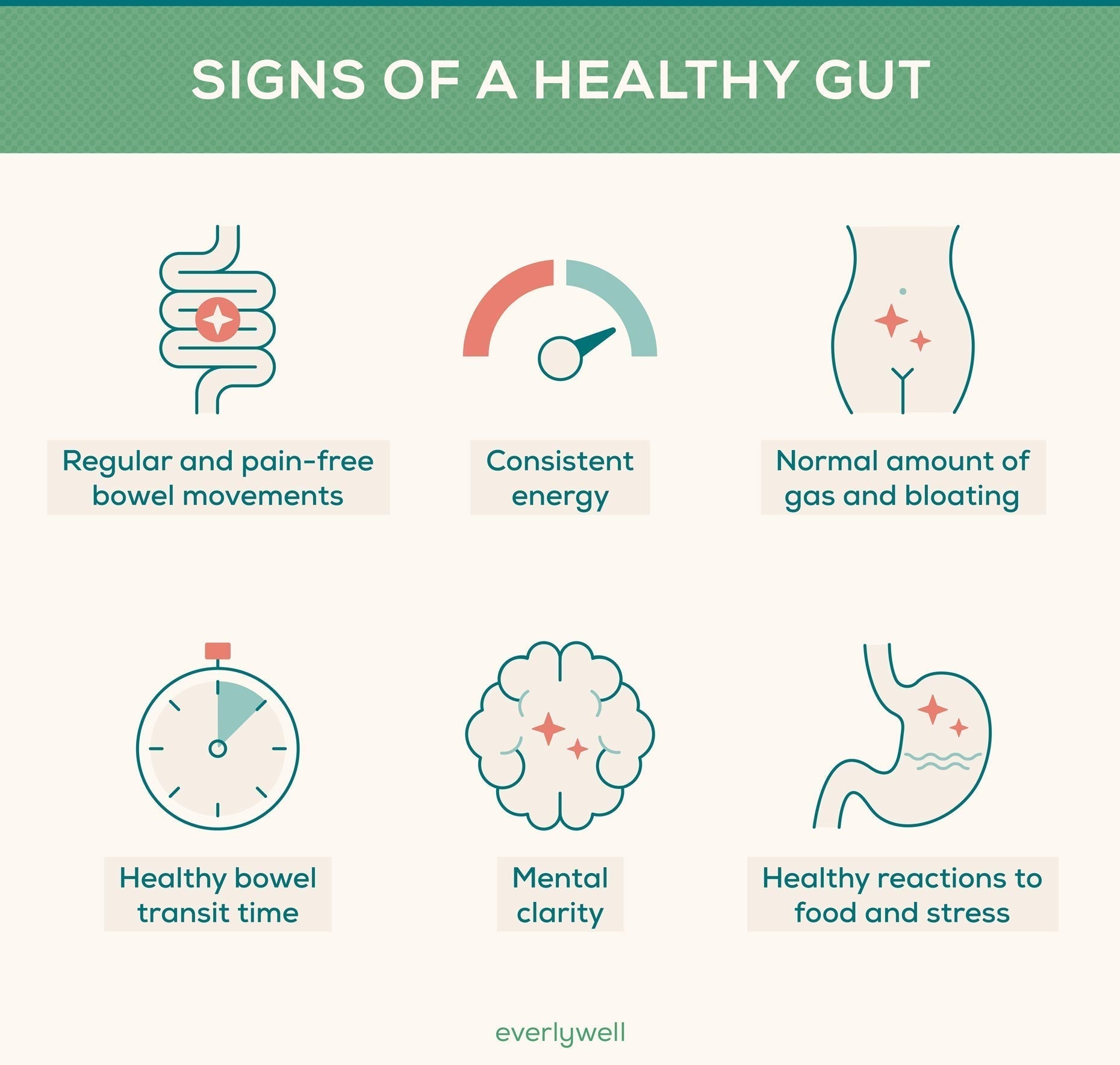 Gut Health and Weight Loss – Science, Best Foods, Supplements & Probiotics