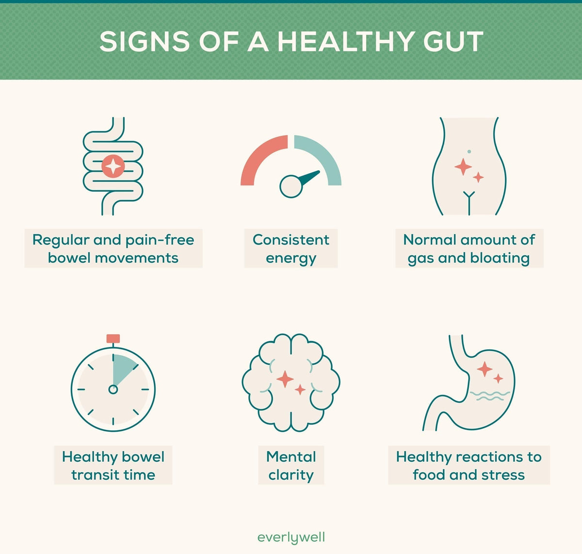 Gut Health and Weight Loss – Science, Best Foods, Supplements & Probiotics