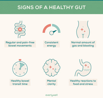 Gut Health and Weight Loss – Science, Best Foods, Supplements & Probiotics