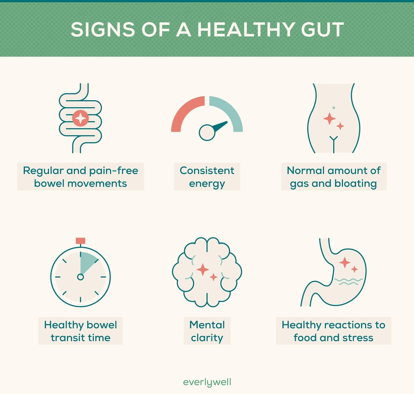 Gut Health and Weight Loss – Science, Best Foods, Supplements &amp; Probiotics