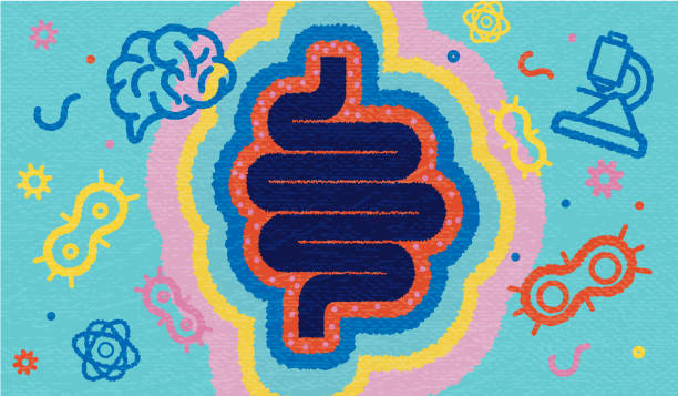 Gut Microbiome Test Report