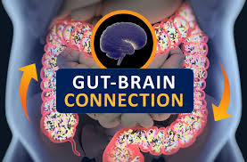 Gut–Brain Connection: How Your Gut Health Affects Anxiety, Depression, and Mental Well-Being