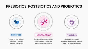 Postbiotics vs Probiotics vs Prebiotics: What’s the Difference?