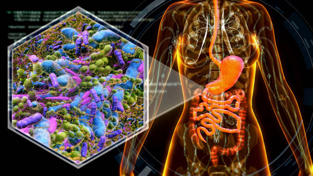 Gut Microbiome Test Accuracy