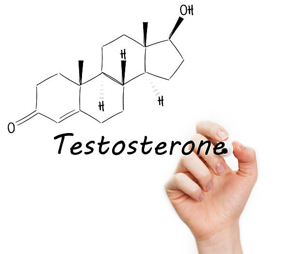 Normal Testosterone Levels in Males