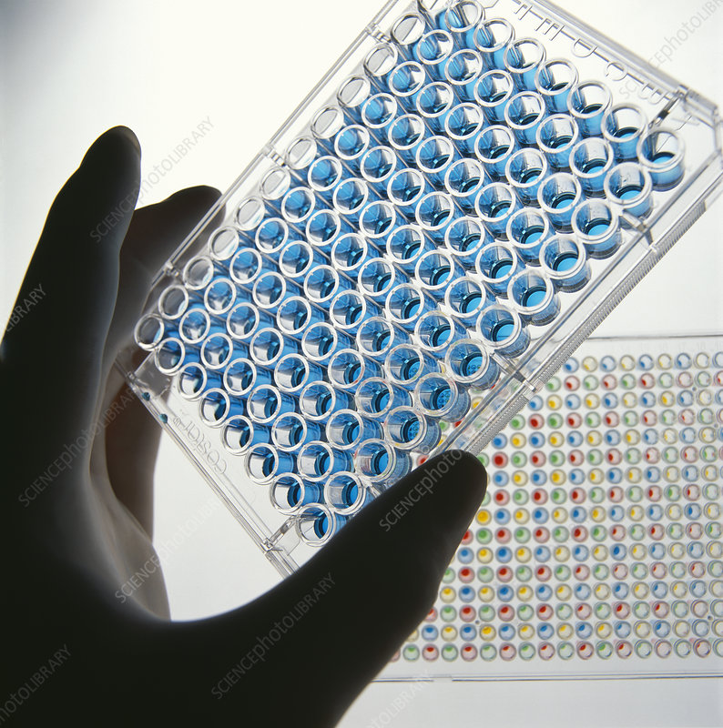 Understanding the ELISA Test for Food Intolerance: The Gold Standard in Testing