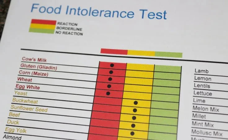 How To Read Food Intolerance Test Report: Levels, Colors & Meaning