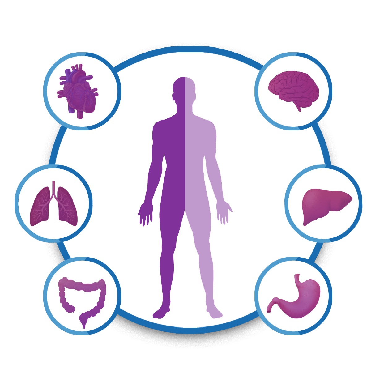 How Much Does a Full Body Checkup Cost in India?