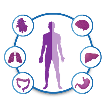 How Much Does a Full Body Checkup Cost in India?