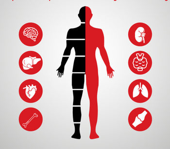 Full Body Checkup Preparation: Fasting, Medication, and Accuracy Tips